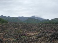 nte Arcimis-20100530 040